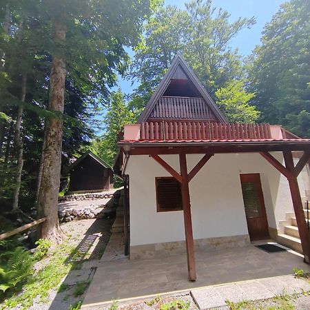 Вилла Koca Planika, Sviscaki Илирска-Бистрица Экстерьер фото