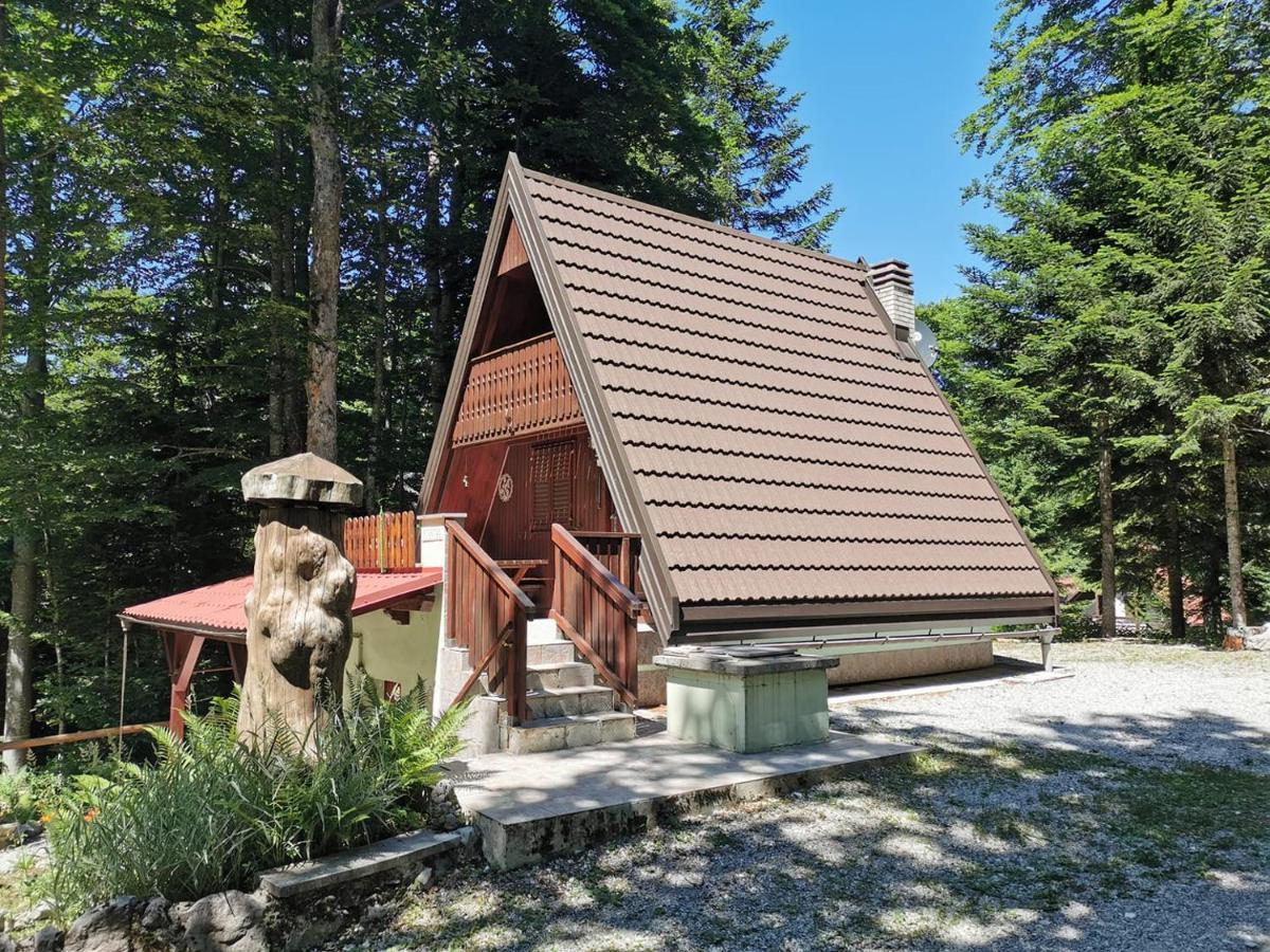 Вилла Koca Planika, Sviscaki Илирска-Бистрица Экстерьер фото